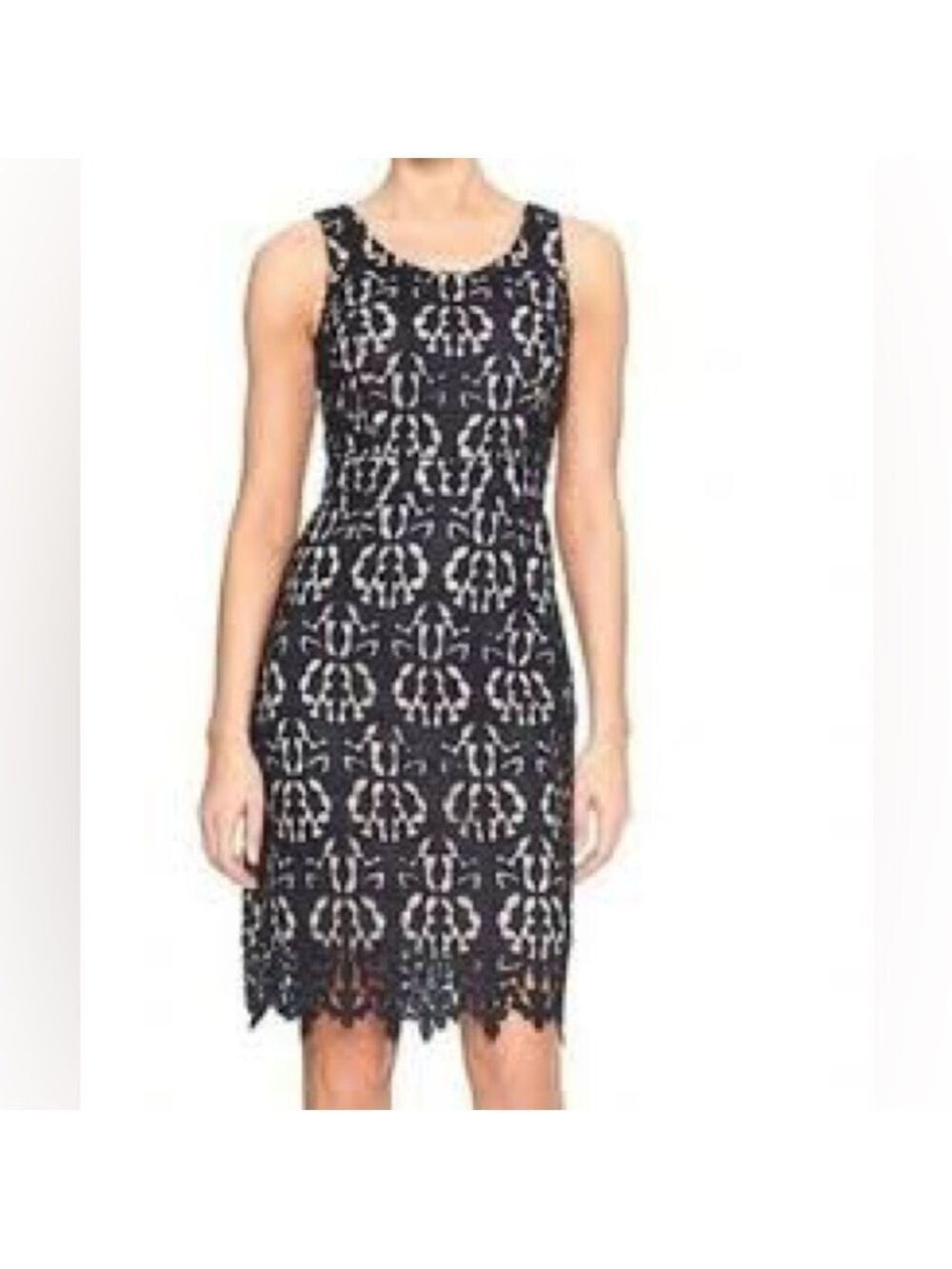 Banana Republic Navy and Beige lace overlay dress size 4